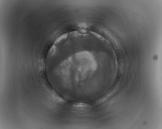 X0000097600467200803211703