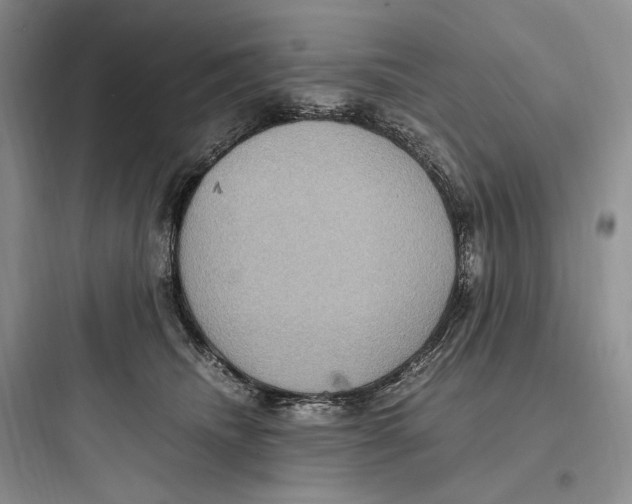 X0000097600468200803211703