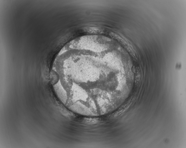 X0000097600469200803211703