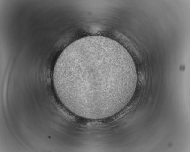X0000097600470200803211703