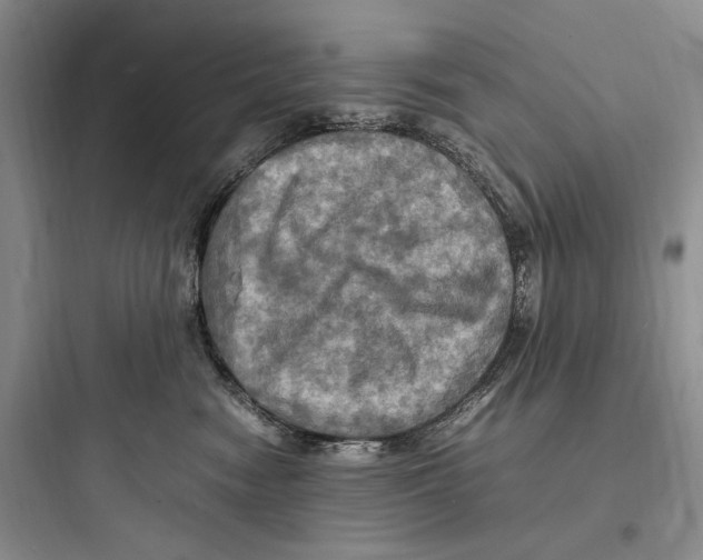 X0000097600474200803211703