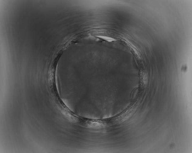 X0000097600475200803211703