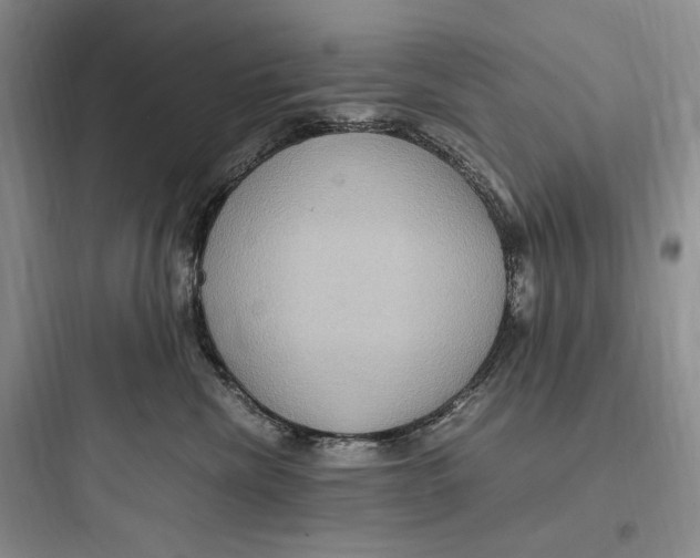 X0000097600476200803211703