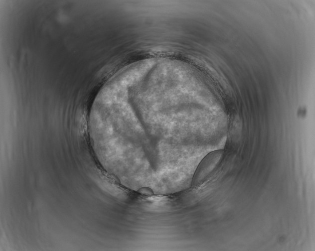 X0000097600478200803211703