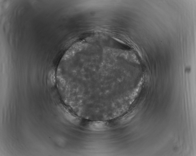 X0000097600479200803211703