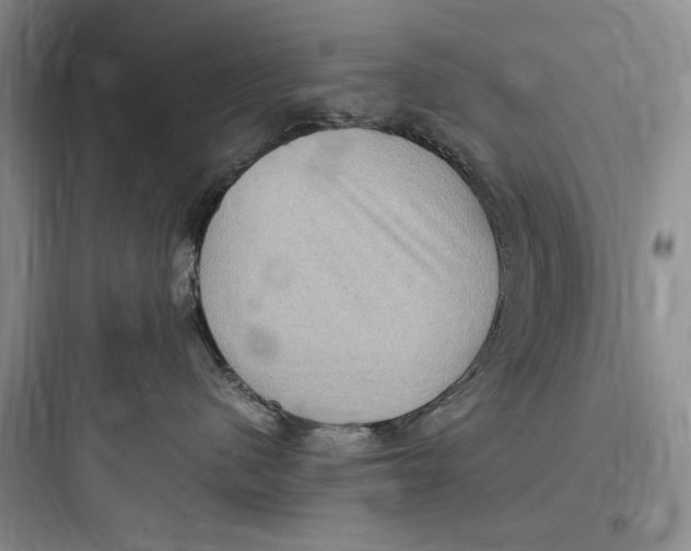 X0000097600480200803211703
