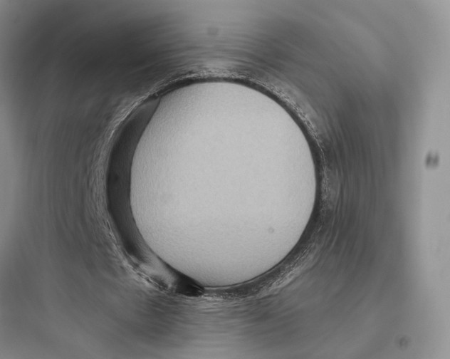 X0000097600481200803211703