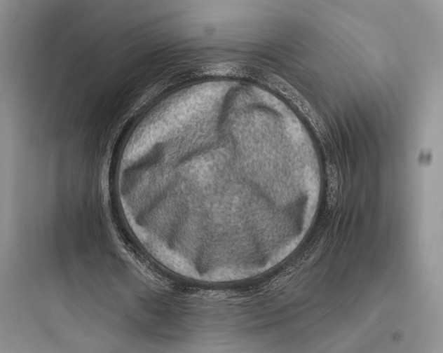 X0000097600482200803211703