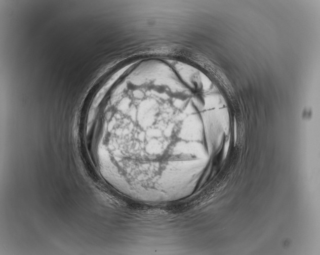 X0000097600483200803211703