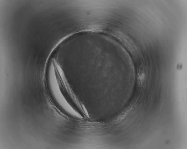 X0000097600484200803211703