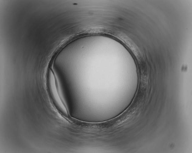 X0000097600485200803211702