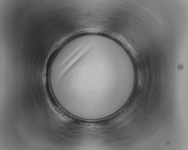 X0000097600486200803211702