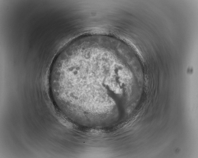 X0000097600487200803211702