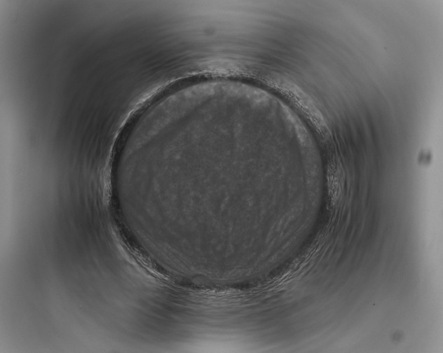 X0000097600488200803211702
