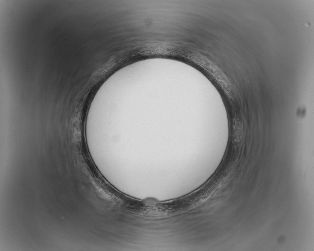 X0000097600489200803211702