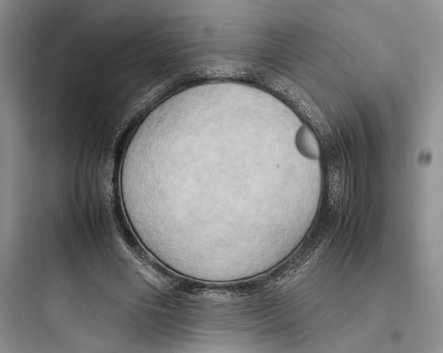 X0000097600490200803211702