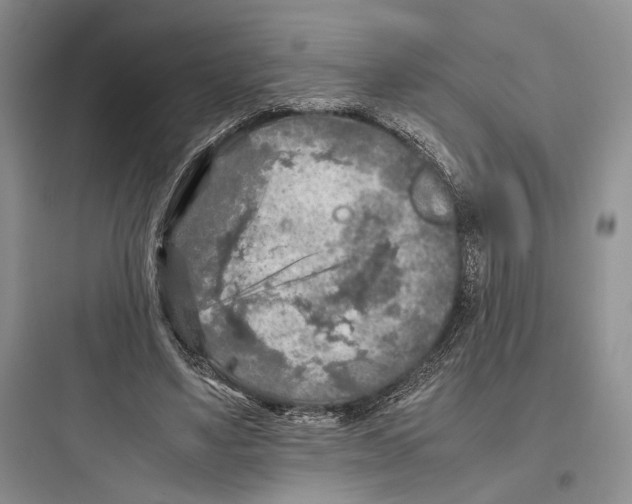 X0000097600491200803211702