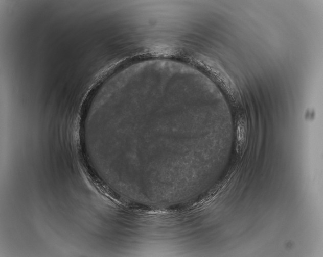 X0000097600492200803211702