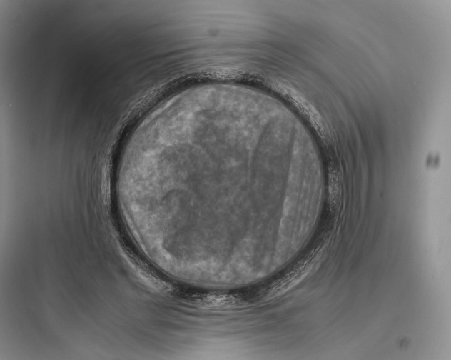 X0000097600493200803211702