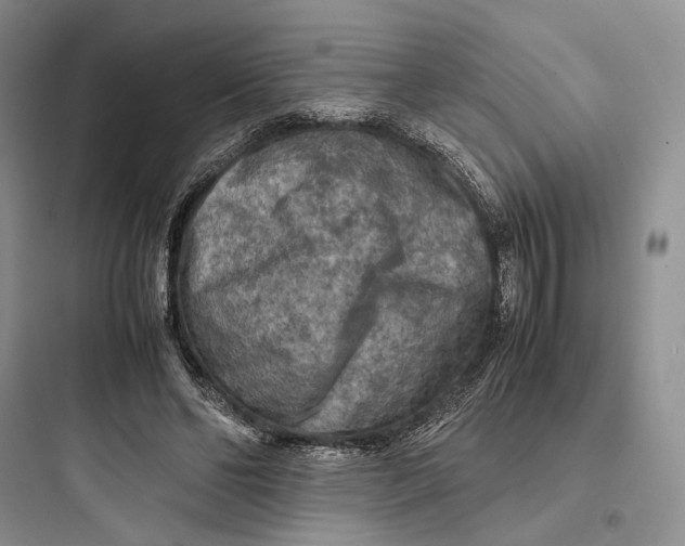 X0000097600494200803211702