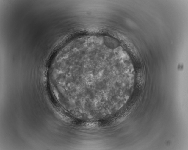 X0000097600495200803211702