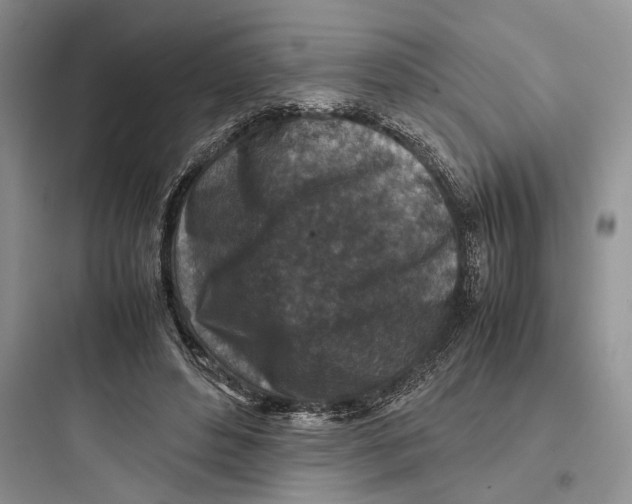 X0000097600496200803211702