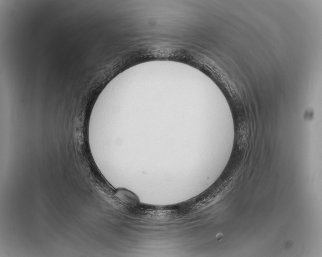 X0000097600497200803211702