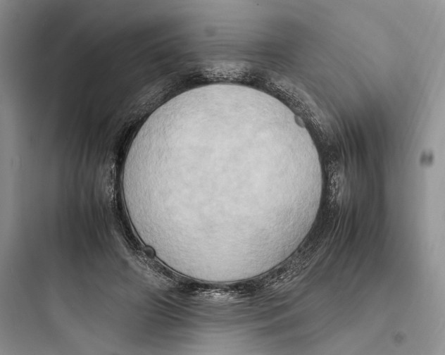 X0000097600498200803211702