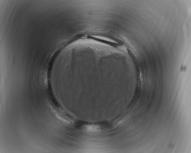 X0000097600500200803211702