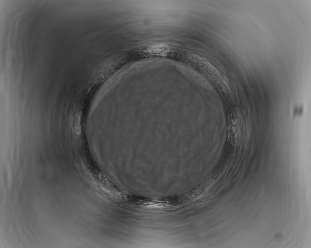 X0000097600504200803211702