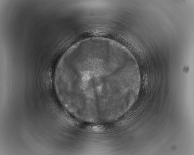 X0000097600506200803211702