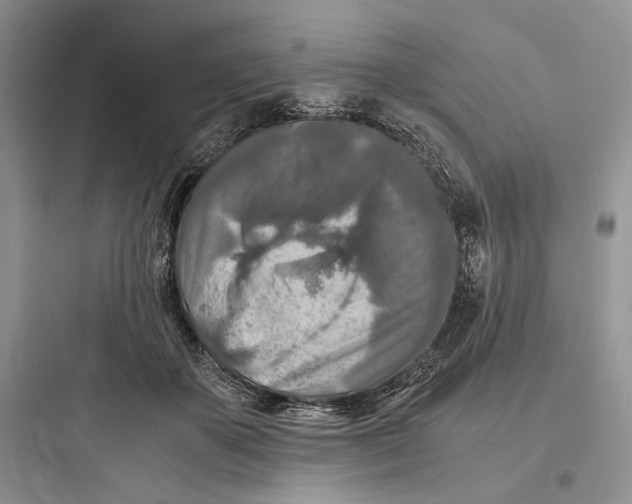 X0000097600507200803211702