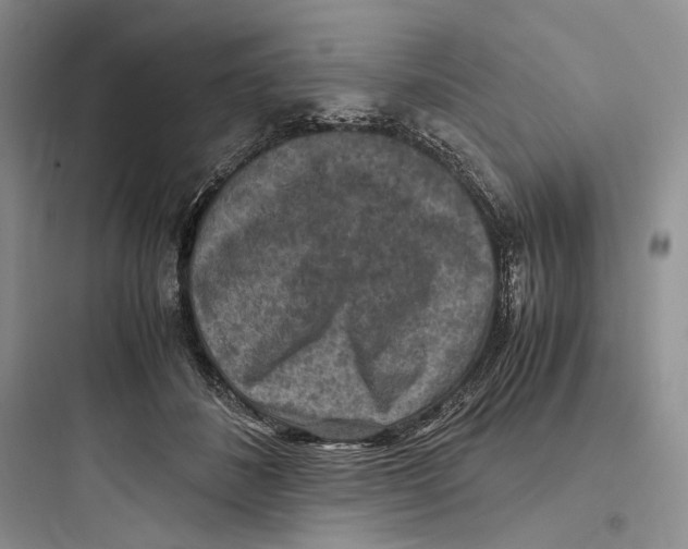 X0000097600508200803211702