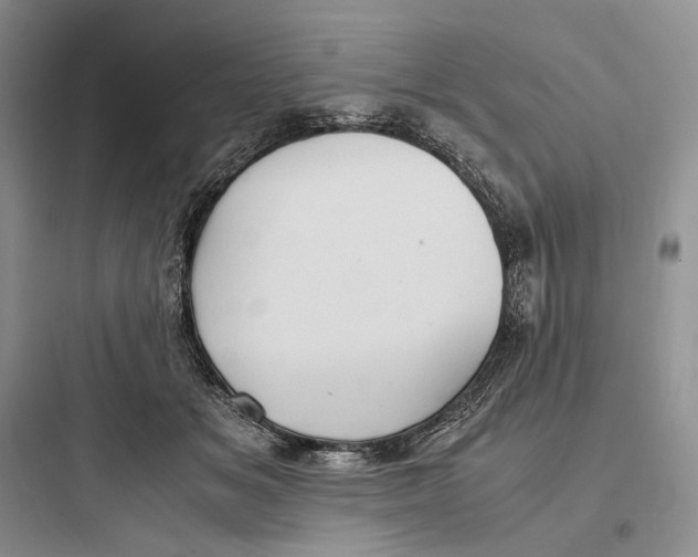 X0000097600509200803211702
