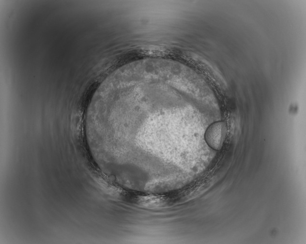 X0000097600511200803211702
