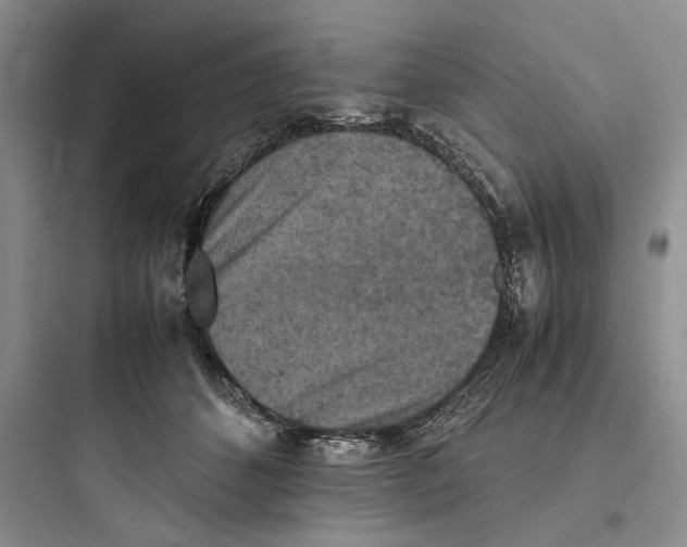 X0000097600512200803211702
