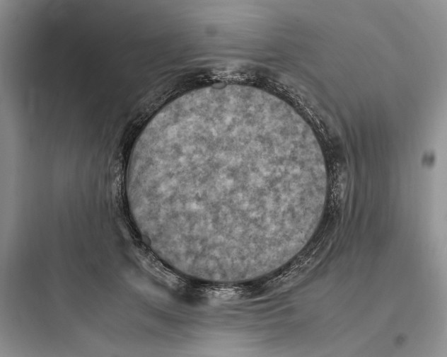X0000097600513200803211702