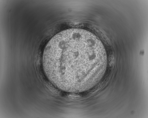 X0000097600515200803211702