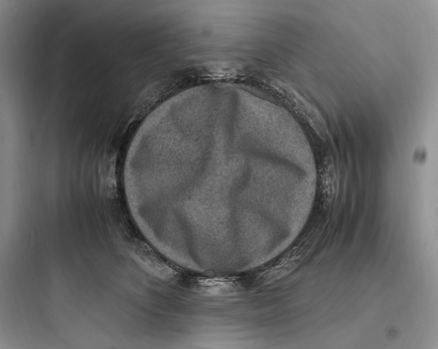 X0000097600516200803211702