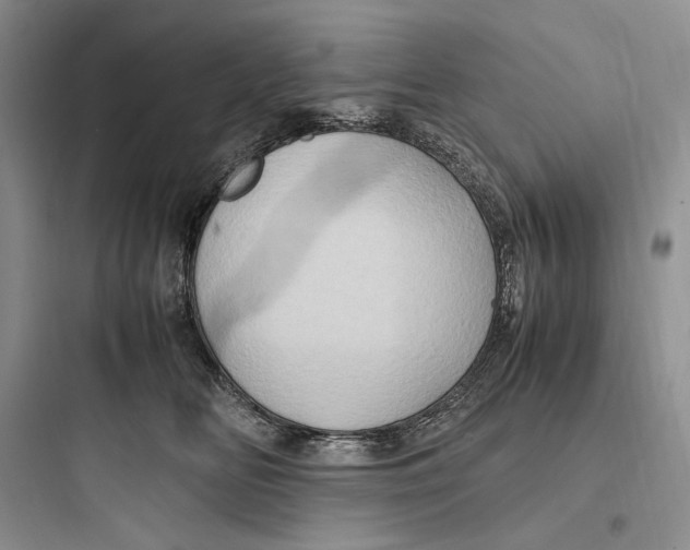 X0000097600518200803211702