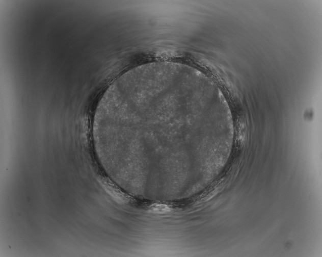 X0000097600519200803211702