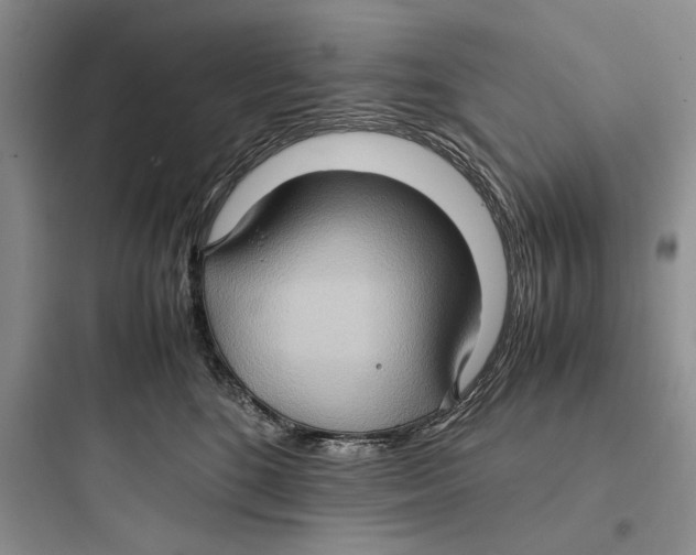 X0000097600520200803211702