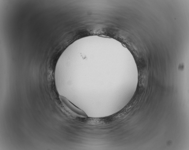 X0000097600521200803211702