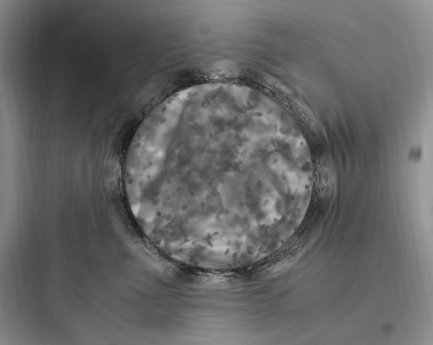 X0000097600523200803211702