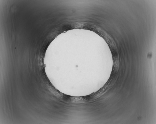 X0000097600525200803211702