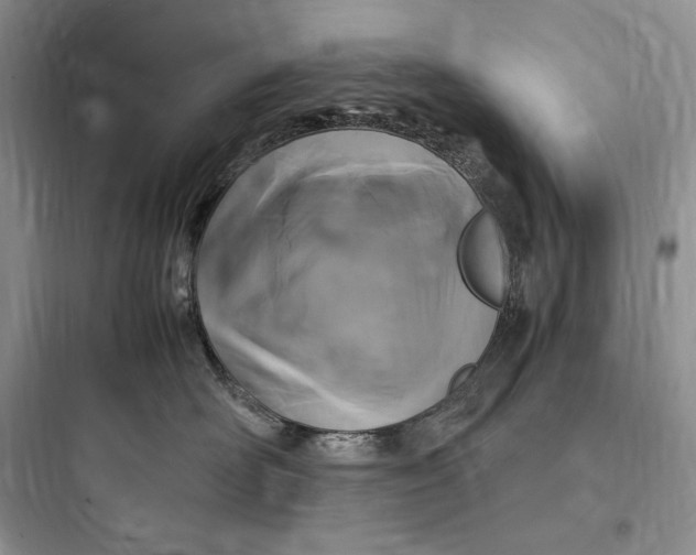 X0000097600526200803211702