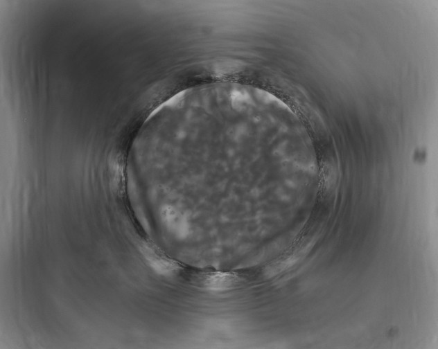 X0000097600527200803211702