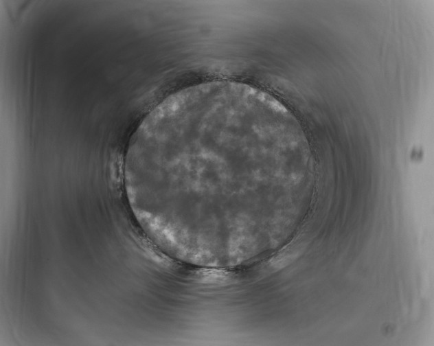 X0000097600528200803211702