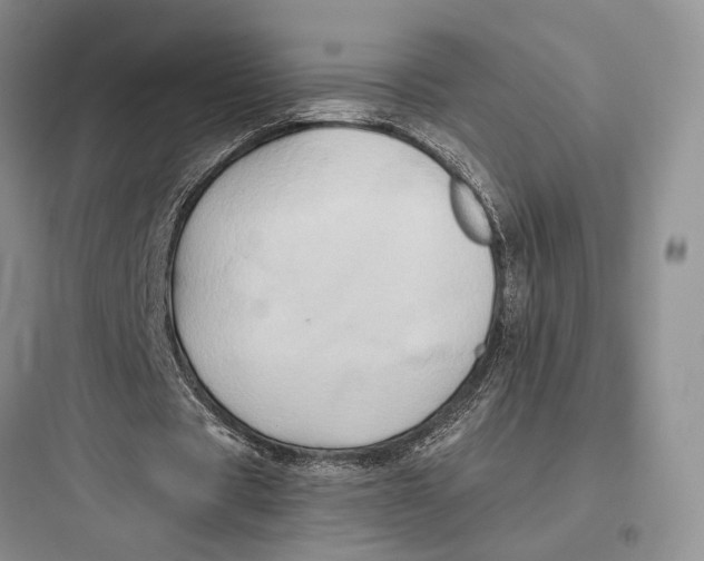 X0000097600529200803211701