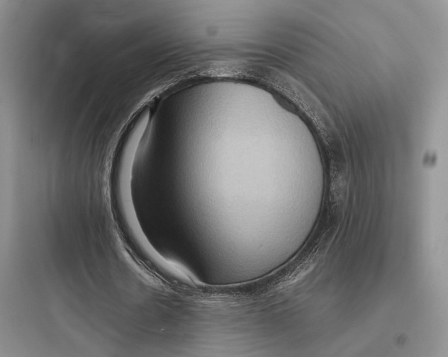 X0000097600530200803211701